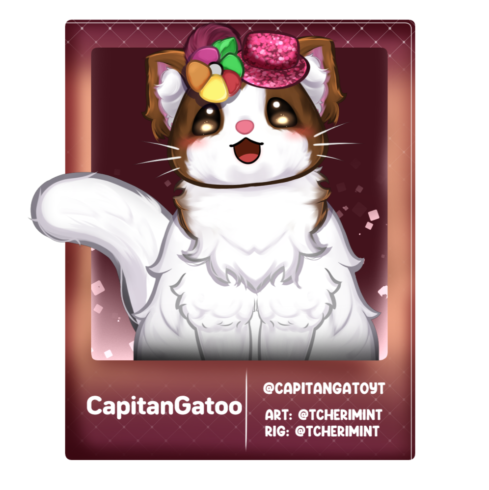 CapitanGatoo